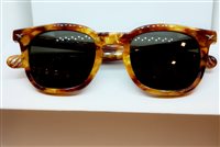 Sunglasses Police 1003 - 1003